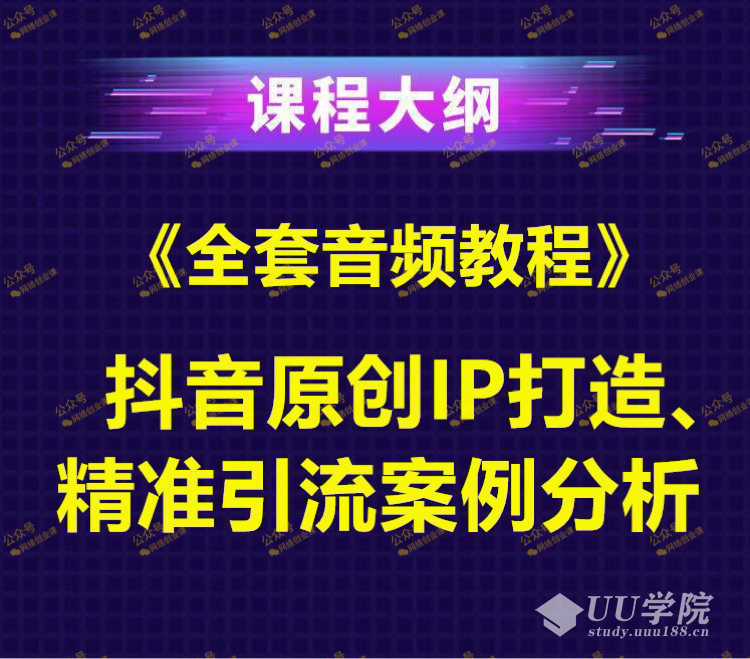 抖音原创IP打造、精准引流案例分析+《全套视频教程》