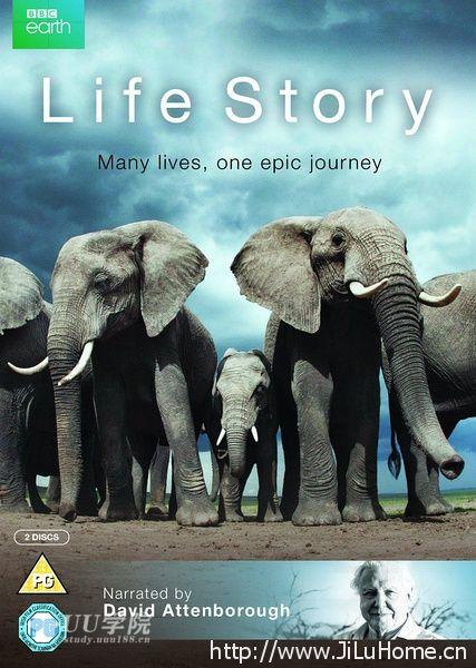 《BBC 生命之旅 life story》