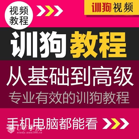 怎么训练狗狗新训练狗视频全套课程，让你的狗狗在你的指令下完成不可思议的神奇