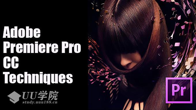 Adobe Premiere Pro CC 视频教程观看mp4