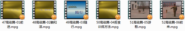 完整系统的训狗视频教程(高清全集)