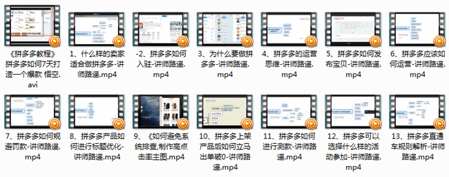 拼多多新手开店运营教程（共13课）