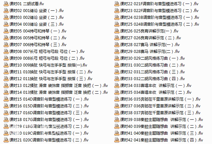 王老师二胡自学课程42课时（高清）