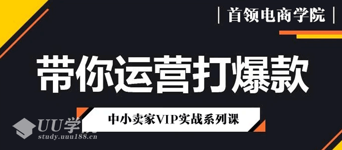 首领电商拼多多VIP教程