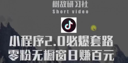 树敌研习社6月抖音小程序课程：抖音小程序2.0必爆套路零粉无橱窗日赚百...