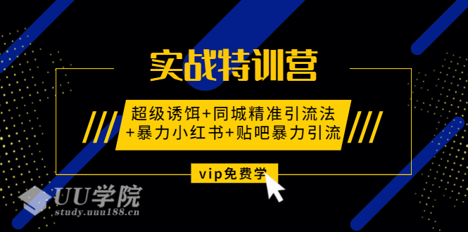 实战特训营:超级诱饵+同城精准引流法+暴力小红书+贴吧暴力引流（视频课...