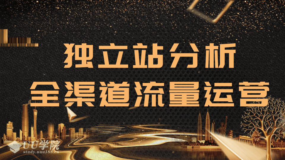 2020跨境电商未来出路，独立站精细化流量运营，手把手教你分析一个网站...