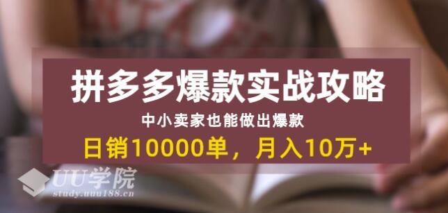 拼多多爆款实战攻略：中小卖家也能做出爆款，日销10000单月入10w+