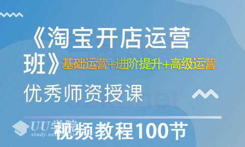 淘宝开店营运视频教程100节从基础运营+进阶提升+高级运营