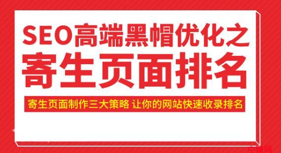 SEO高端黑帽优化之寄生页面排名，制作策略+快速收录排名（视频课）