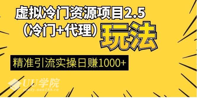 虚拟冷门资源项目（冷门及代理玩法） 精准引流实操日赚1000+(完结)