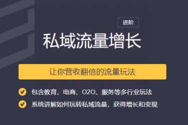 2020私域流量增长进阶让你营收翻倍的流量课程