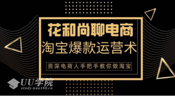 花和尚电商淘宝爆款运营术，手把手教你月销万件的爆款打造技巧