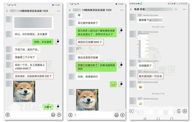 龟课闲鱼无货源电商课程第15期，一个月收益几万不等