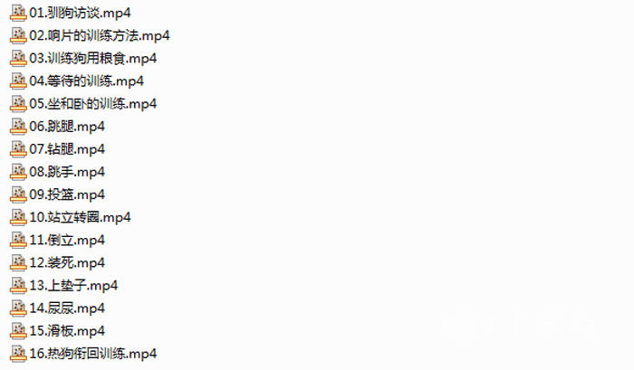 宠物狗训练教程【全16讲】