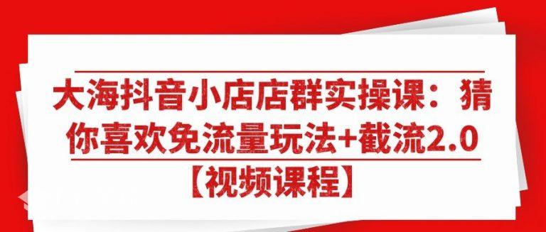 大海抖音小店店群实操课：猜你喜欢免流量玩法+截流2.0【视频课程】