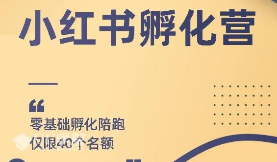 勇哥小红书撸金快速起量项目：教你如何快速起号获得曝光，做到月躺赚在...