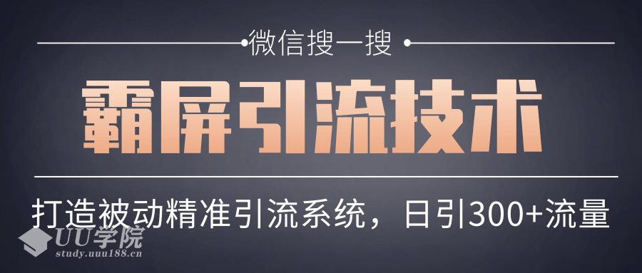 微信搜一搜霸屏引流技术，打造被动精准引流系统，轻松日引300+流量