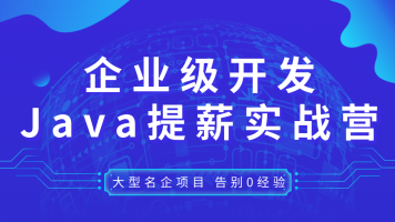 视频教程阿里美团滴滴京东一线大厂的JAVA超级实战