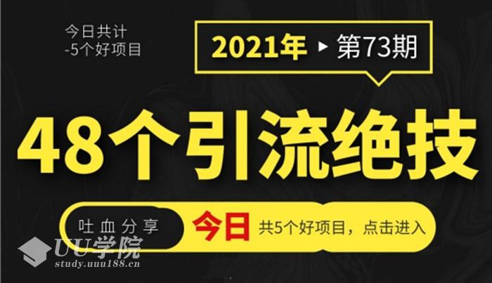 整理的48个引流绝技，掌握其中20条，不愁没流量