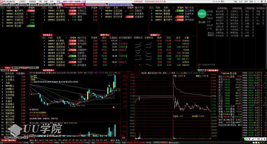波段战法《竞价体系进阶高级课程》竞价体系自动选股软件通达信永久版 ...