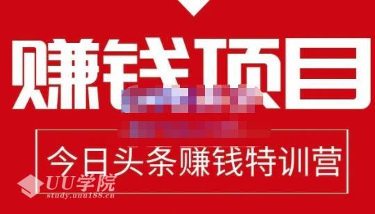 懒人领域今日头条项目玩法，头条中视频项目，单号收益在50—500可批...