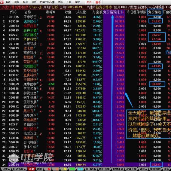 2022散人竞价擒龙系统8.5 终极版指标源码含软件+使用说明