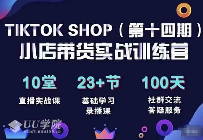 TikTokShop全球店带货训练营（14期）打开全球流量新思维，出海抢占全球...