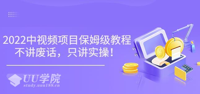 小淘7月收费项目《2022玩赚中视频保姆级教程》不讲废话，只讲实操（10...