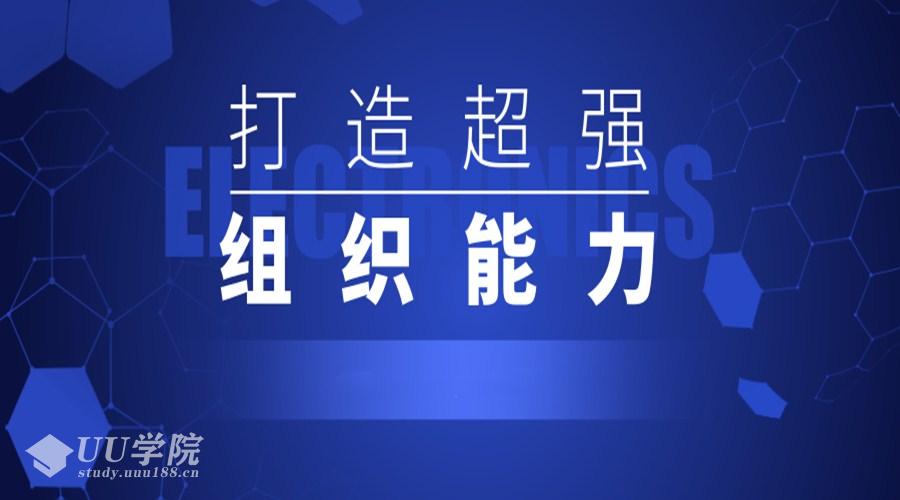 领导组织能力提升打造超强组织能力二十讲