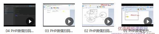 微信扫码支付系列课，支付接口接入必备技术，实现在线自动化收款（5节...