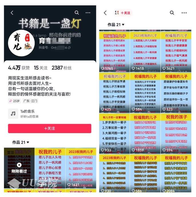 黄岛主视频号儿女祝福视频引流变现分享课，银发经济新风囗【视频+素...