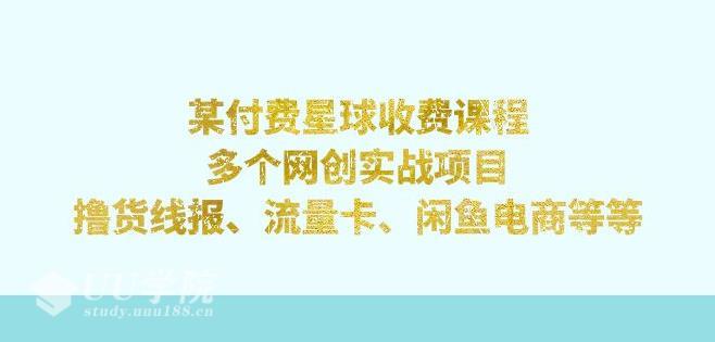 第一期网创实战营的项目多个网创实战项目，撸货线报、流量卡、闲鱼电商等