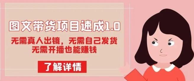 图文带货轻松上手1.0：零出镜、零发货、零开播，轻松实现赚钱梦想