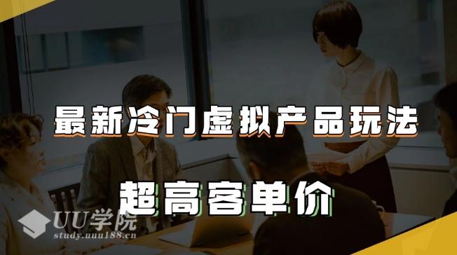 可操作：揭秘最新冷门虚拟产品玩法：超高客单价，轻松月入2-3万+，赚钱新机会不容错过！