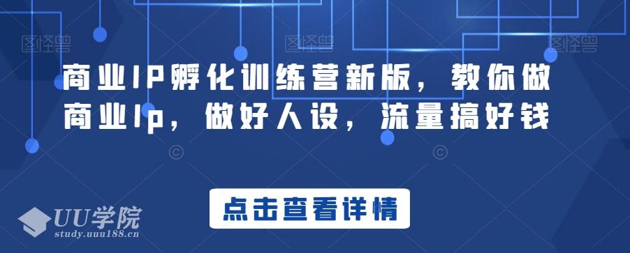 商业IP孵化训练营新版，教你做商业Ip，做好人设，流量搞好钱