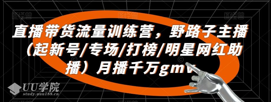 直播带货流量训练营，​野路子主播（起新号/专场/打榜/明星网红助...