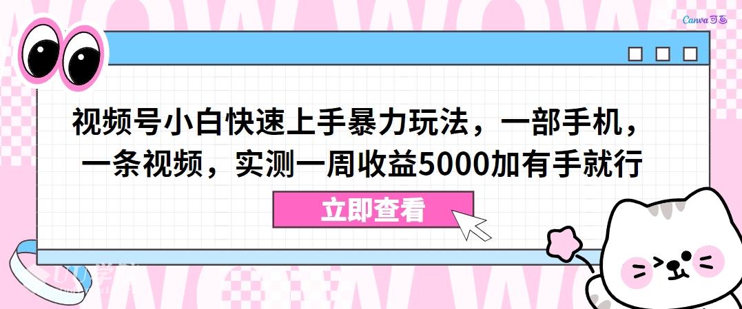视频号小白快速上手暴力玩法，一部手机，一条视频，实测一周收益5000加...