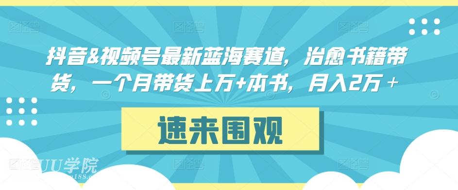 抖音视频号最新蓝海赛道，治愈书籍带货，一个月带货上万+本书，月入2...