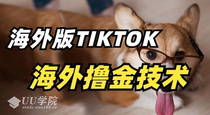 抖音海外版tiktok撸金技术，这个风口行业，赚钱真的不难【揭秘】