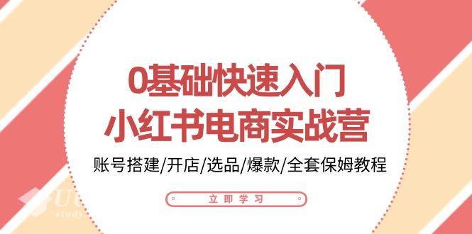 0基础快速入门-小红书电商实战营：账号搭建/开店/选品/爆款/全套保姆教...