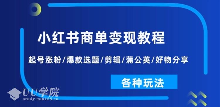 小红书商单变现教程：起号涨粉/爆款选题/剪辑/蒲公英/好物分享/各种玩...