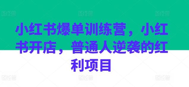 小红书爆单训练营，小红书开店，普通人逆袭的红利项目_可乐小红书电商...