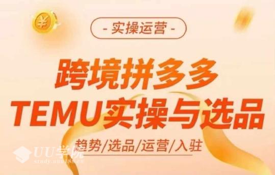 跨境拼多多TEMU实操与选品，多多temu跨境选品运营实操