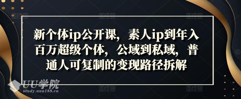 新个体ip公开课，素人ip到年入百万超级个体，公域到私域，普通人可复制...