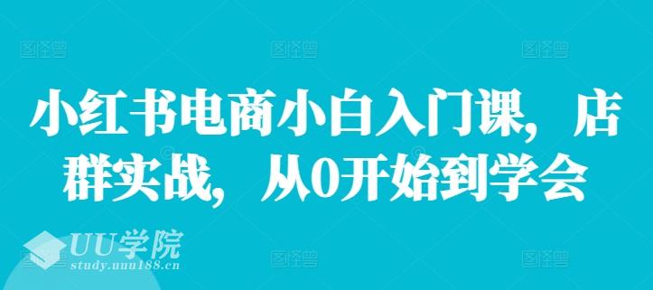 小红书电商小白入门课，店群实战，从0开始到学会